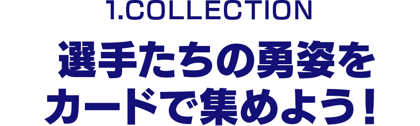 選手たちの勇姿をカードで集めよう！